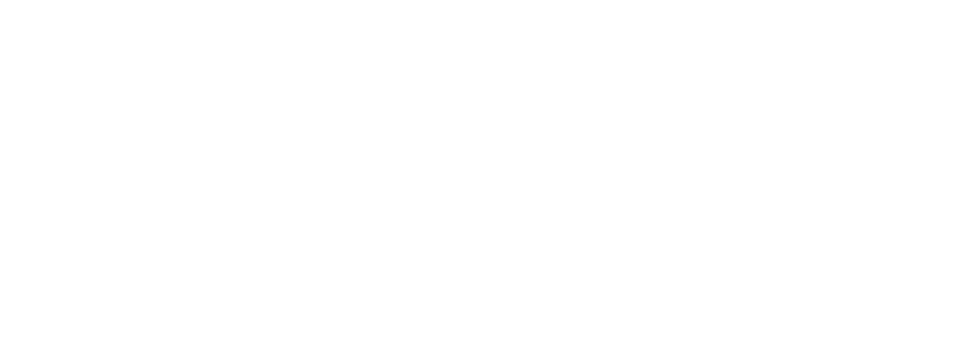 Ferramentas Guru Logo
